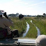 Bush & Safari: Botswana & Caprivi Namibië